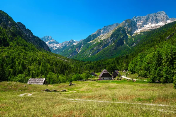 Paisagem Alpina Verão Incrível Com Casas Rurais Altas Montanhas Nevadas — Fotografia de Stock