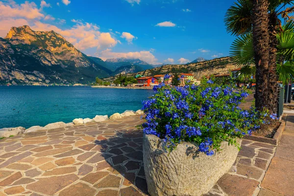 Torbole tatil beldesi, Garda Gölü, İtalya ve Avrupa 'da palmiye ağaçları ile çarpıcı asfalt ve çiçekli rıhtım geçidi