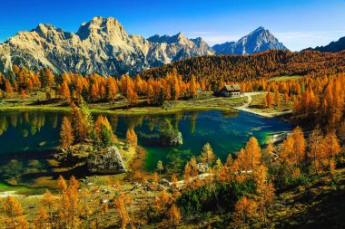 Muhteşem alp gölü olan renkli bir sonbahar ormanı. Renkli tarlalar ve Federa Gölü kıyısında küçük şirin bir ev, Dolomitler, İtalya, Avrupa