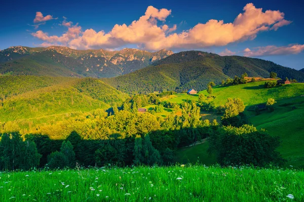 Paisagem Alpina Pitoresca Verão Com Campos Verdes Montanhas Pôr Sol — Fotografia de Stock