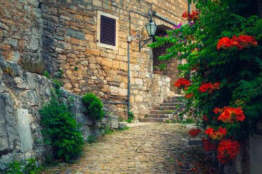 Cute narrow street with red trumpet flowers in Omis resort, Dalmatia, Croatia, Europe  clipart