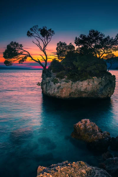 Jolie Petite Île Avec Des Pins Dans Baie Propre Grande — Photo