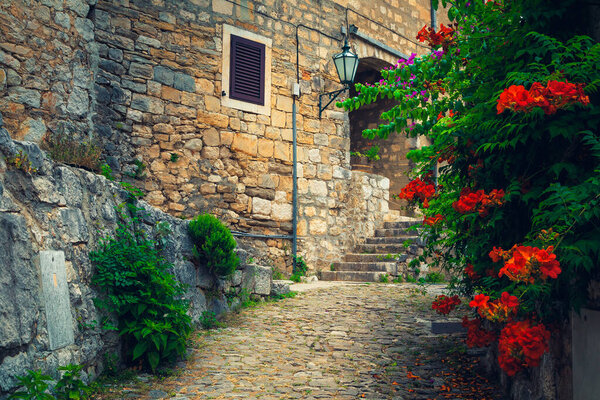 Cute narrow street with red trumpet flowers in Omis resort, Dalmatia, Croatia, Europe