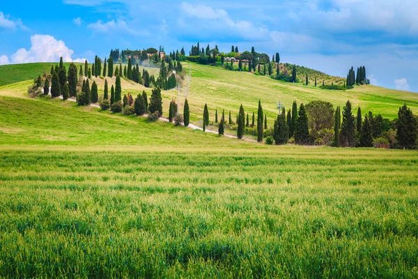 Gran Ubicación Viajes Fotografía Toscana Hermoso Sinuoso Camino Rural Polvoriento —  Fotos de Stock