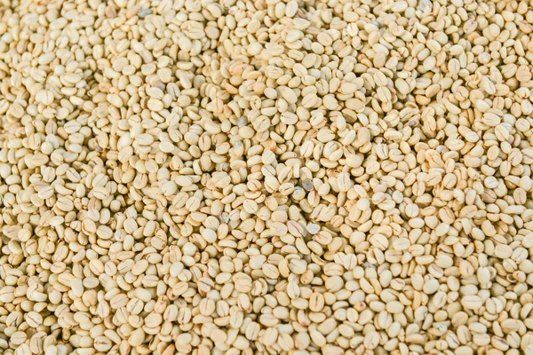 Close up shot of unroasted coffee beans background. Shoot with natural morning light. — Stock Photo, Image