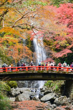 Minoo şelale Osaka, Japonya.
