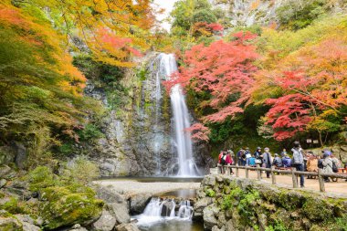 Minoo şelale Osaka, Japonya.