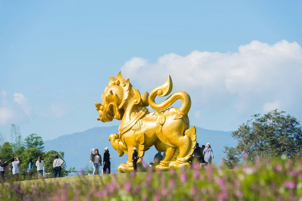 CHIANG RAI, THAILAND - JANUARY 15, 2017 : Visiting Golden Lion s — Stock Photo, Image
