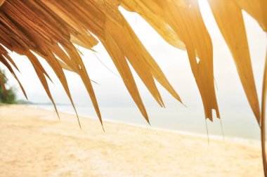 (Gündoğumu günbatımı, tropikal plaj arka plan)