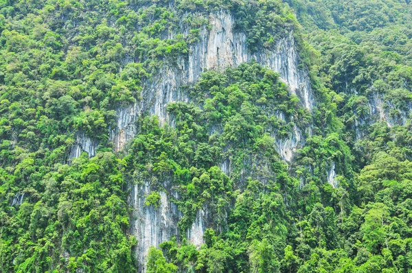 Huge limestone cliffs rising out of open lake at Khao Sok Nation — Stock Photo, Image