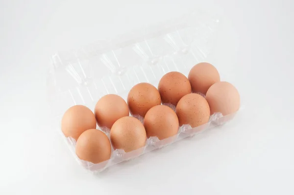 흰색 바탕에 플라스틱 상자에 계란 — 스톡 사진
