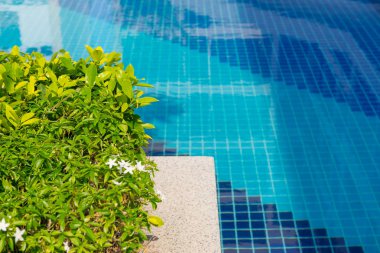 Otel havuzu resort güzel yüzme havuzunda