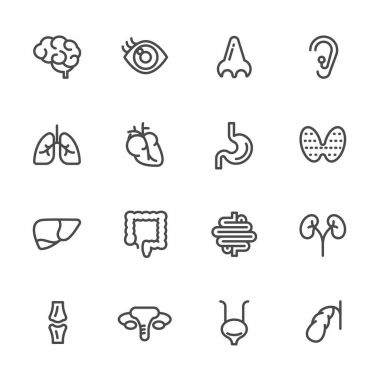 Visseral ve anatomi simgeler, vektör hat Icons set