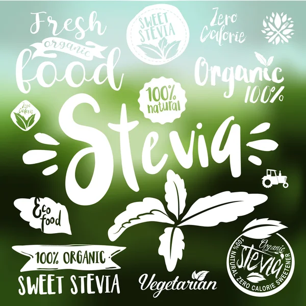 Stevia ve organik gıda etiket kümesi — Stok Vektör