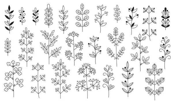 Twigs Leaves Isolated Graceful Plants Design Set Black Vector Illustrations — Stock Vector