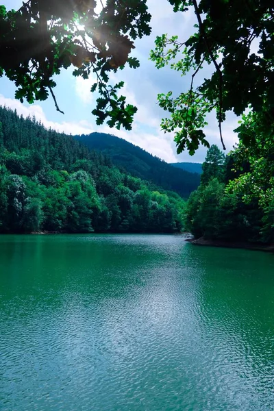호수에 나무들 자연색을 빌바오 스페인 — 스톡 사진