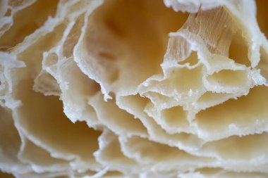 Yumuşak ekmek kırıntısı, soyut gıda arkaplanı