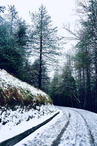 Sníh Horách Zimním Období Bílé Studené Dny Bilbau Španělsko — Stock fotografie