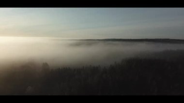 Norveç ormanlarında sisli bir güneşin doğuşunu gösteren hava aracı görüntüsü.