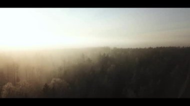 Norveç ormanlarında sisli bir güneşin doğuşunu gösteren hava aracı görüntüsü.