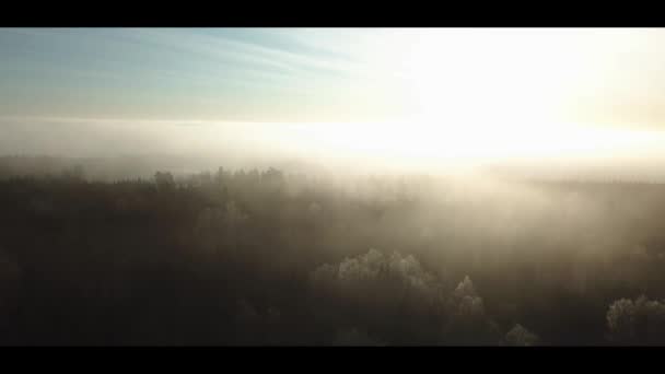 在森林寒冷的早晨，在北方的森林雾中，空中无人驾驶飞机拍摄的雾蒙蒙的日出镜头- -向前飞去 — 图库视频影像