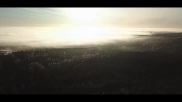 Imagens de drones aéreos do nascer do sol enevoado na névoa da floresta norway na floresta manhã fria voando para a frente — Vídeo de Stock