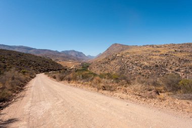 Güney Afrika 'nın Batı Cape Eyaleti' nin Cederberg Dağları 'ndaki Keurbos' ta bir çiftlik ve yol manzarası.