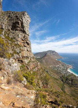 Cape Town 'ın küçük aslanları Judas Tepesi' nden görüldü.