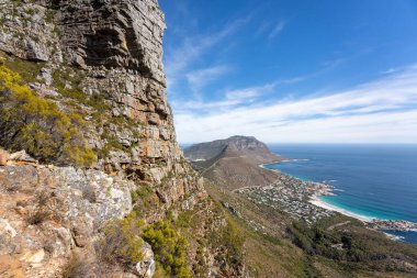 Cape Town 'ın küçük aslanları, Judas Tepesi Yolu 2' den görüldü.