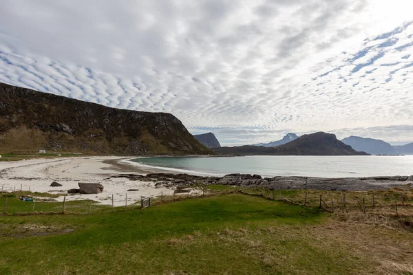 Пляж Піском Горами Лофотенські Острови Норвегії — стокове фото