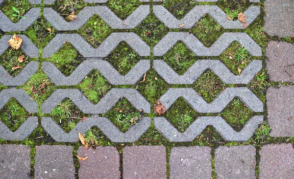 Vista Detalhada Perto Piso Concreto Texturas Pavimento Com Diferentes Padrões — Fotografia de Stock