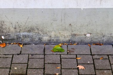 Londra 'da bulunan eskimiş ve yıpranmış beton duvarların detaylı görüntüsü