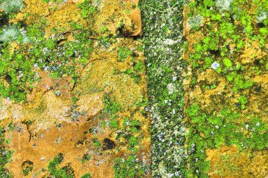 Beautiful aged and weathered yellow bricks walls found all over europe in high resolution