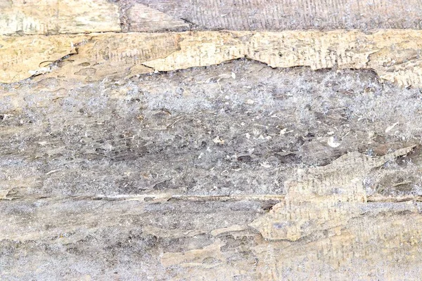 高解像度の亀裂を持つ老朽化した風化したコンクリート壁の詳細なクローズアップビュー — ストック写真