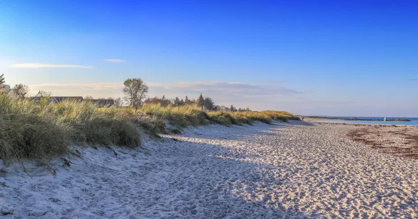 Prachtig Panorama Landschap Van Een Baltische Zee Strand Het Noorden — Stockfoto