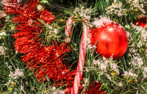 Yeşil Bir Çam Ağacında Kırmızı Noel Süslemesi — Stok fotoğraf