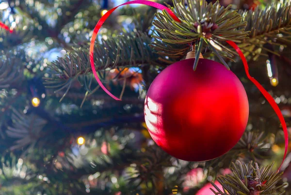 Hermosa Decoración Navidad Los Pinos — Foto de Stock