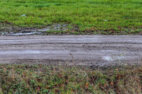 Närbild Fröplantor Ett Jordbruksfält — Stockfoto