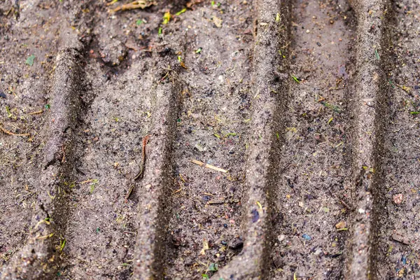 Vista Detalhada Perto Terras Agrícolas Secas Acre Alta Resolução — Fotografia de Stock