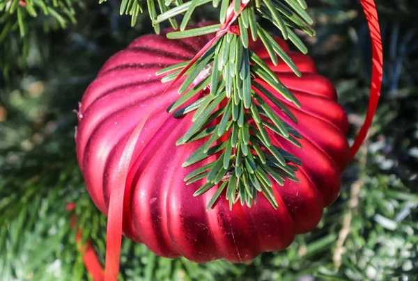 Belle Colorée Décoration Noël Aux Branches Pin Vert — Photo