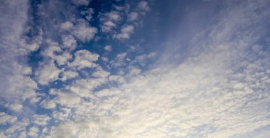 Derin, mavi bir yaz gökyüzünde huzurlu, yumuşak, beyaz bulutlar.