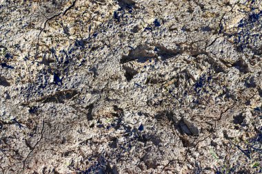 İklim değişikliğinden etkilenen kuru tarım arazilerine yakın görüş