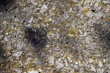 Kuzey Avrupa 'da eski bir caddede asfalt üzerinde ayrıntılı yakın görüş