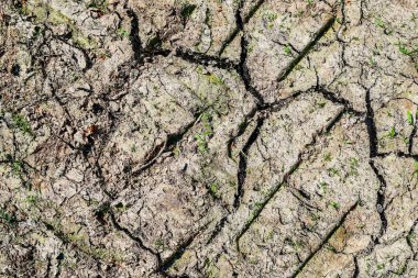 İklim değişikliğinin kuraklık döneminde dönüm araziye yakın görüntüler