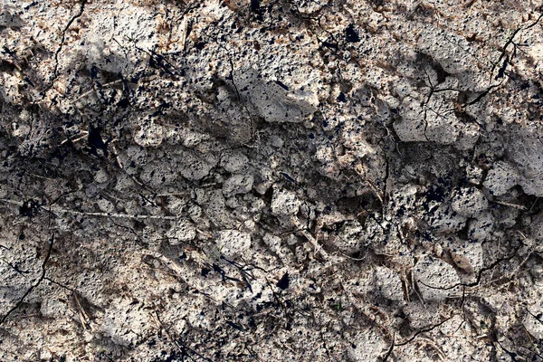Детальний Вид Крупним Планом Акрах Під Час Посухи Зміною Клімату — стокове фото