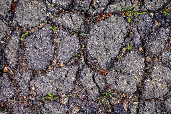 Detailed close up view on asphalt with cracks on old german roads