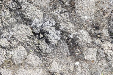 Kuzey Avrupa 'daki yollarda yaşlılık ve çatlamış asfalt hakkında ayrıntılı görüş