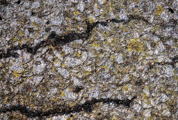 Detailed Close View Aged Cracked Asphalt Roads Northern Europe — Stock Photo, Image