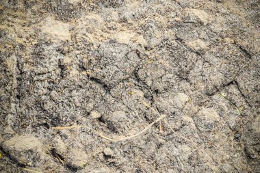 Kuru bir dokusu olan tarımsal bir alana yakın görüş