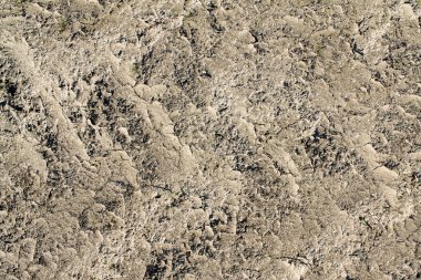 Kuru bir dokusu olan tarımsal bir alana yakın görüş